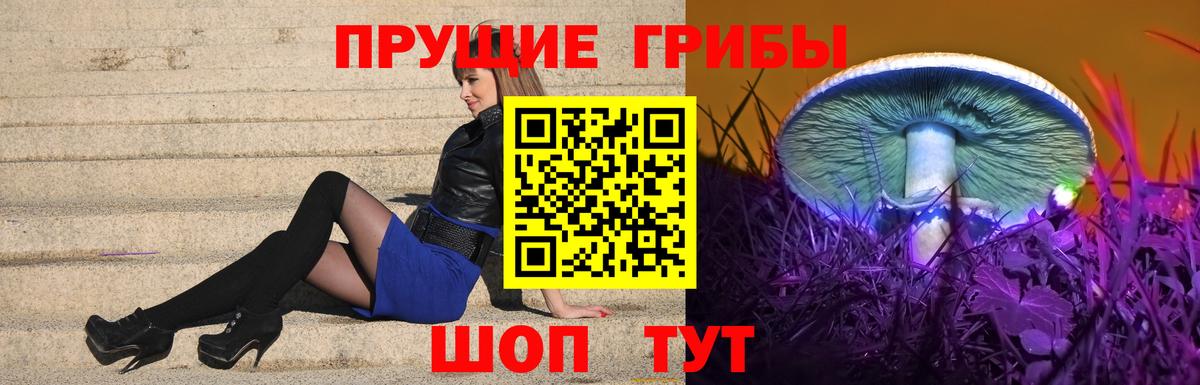 наркота  Галлюциногенные грибы мухоморы  Вход с VPN  Канск 